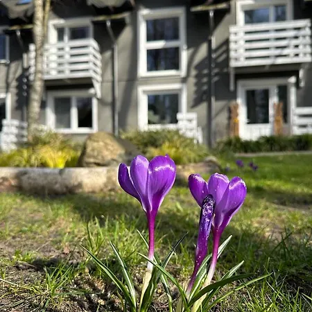 Marszallowka Appartement *