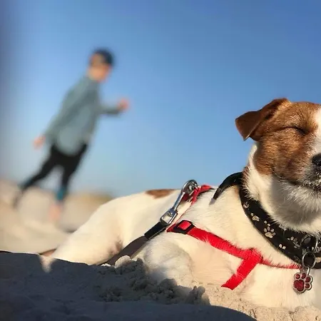 Διαμέρισμα Marszallowka