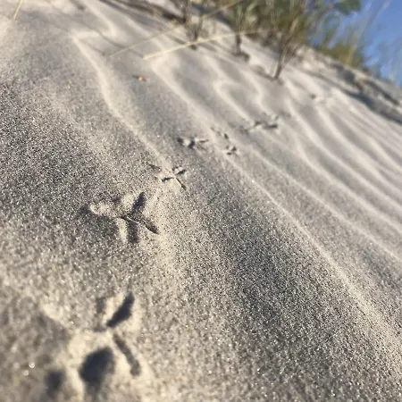 Marszallowka Διαμέρισμα *