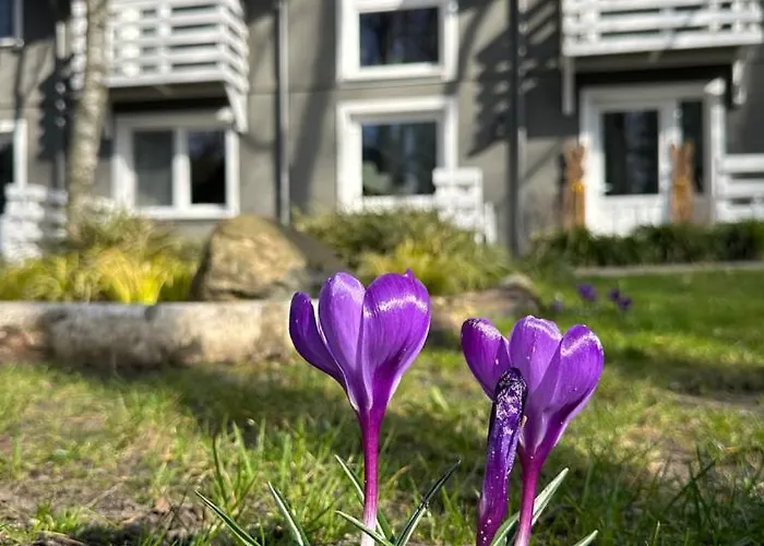 Marszallówka Apartman *