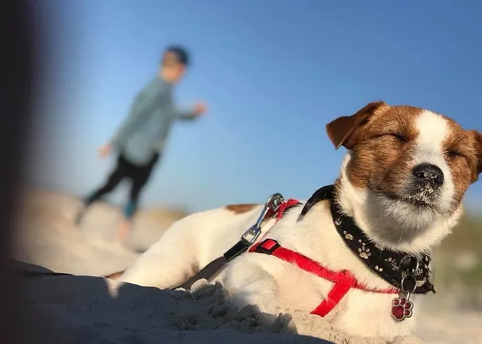 Apartman Marszallówka