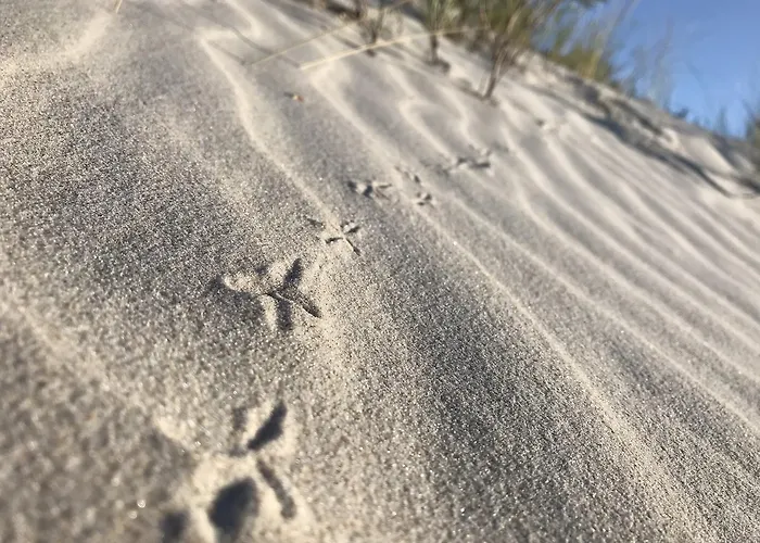 Marszallówka Apartman *